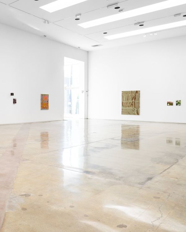 Installation view, Field Recordings, La Loma Projects · 2025 (1)