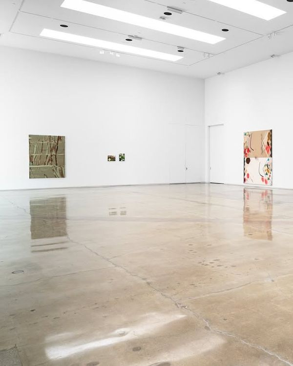 Installation view, Field Recordings, La Loma Projects · 2025 (2)