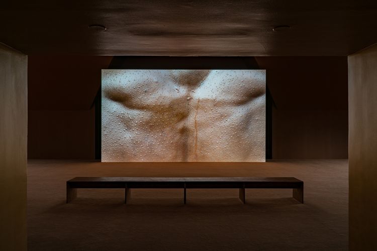 Installation view, Tendered, The Renaissance Society · 2026 (4)