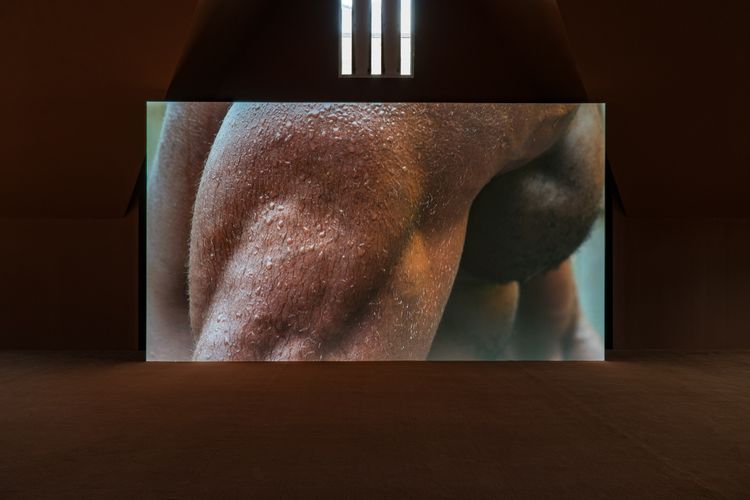 Installation view, Tendered, The Renaissance Society · 2026 (5)