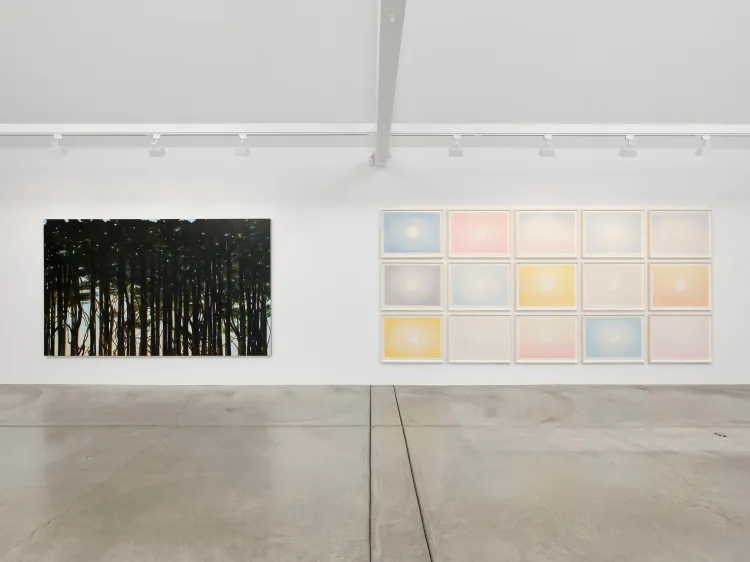 Installation view, Rob Reynolds: Be Like the Sun, Never Done, Anthony Meier  · 2026 (3)
