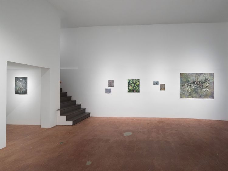 Installation view,  As We Grind Our Teeth To Dust, Track 16, Hollywood · 2026 (8)