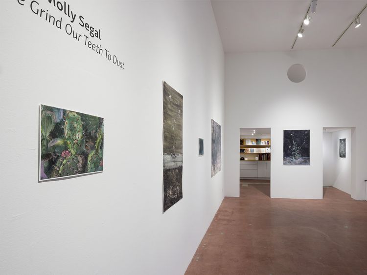 Installation view,  As We Grind Our Teeth To Dust, Track 16, Hollywood · 2026 (1)