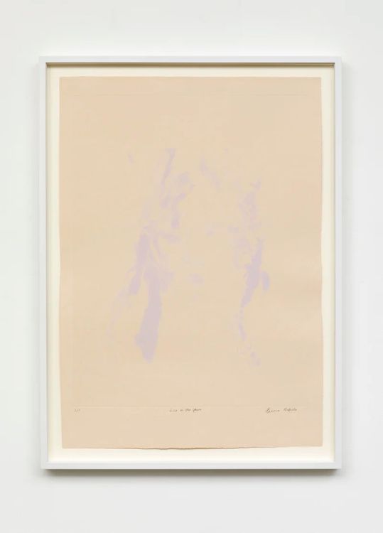 Installation view, She Cannot Fade, Flowers · 2025 (11)