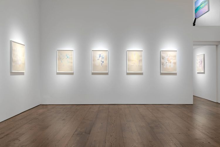 Installation view, She Cannot Fade, Flowers · 2025 (2)