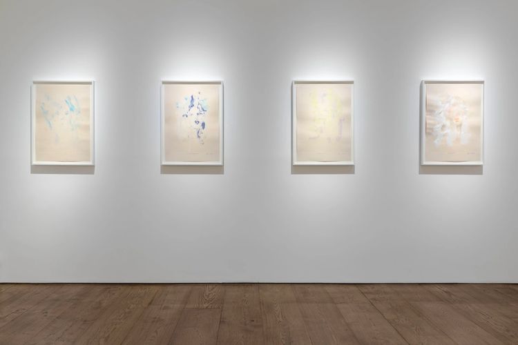 Installation view, She Cannot Fade, Flowers · 2025 (4)