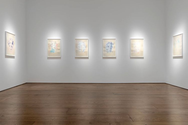 Installation view, She Cannot Fade, Flowers · 2025 (3)