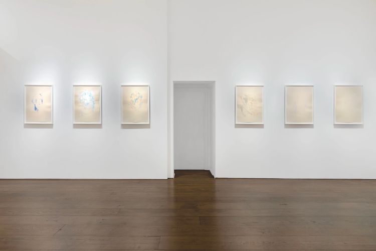 Installation view, She Cannot Fade, Flowers · 2025 (1)