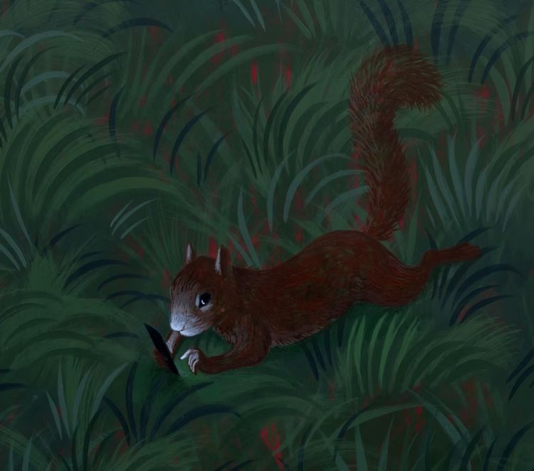 Installation view, Squirrel Show, COL Gallery