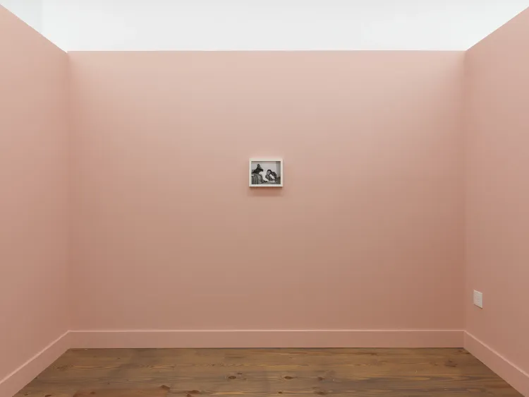Installation view, Stranger, Rebecca Camacho Presents · 2026 (5)