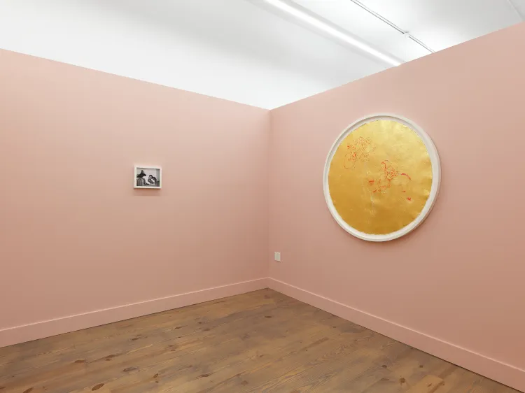 Installation view, Stranger, Rebecca Camacho Presents · 2026 (6)