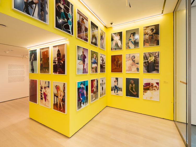 Installation view, Taking Back Our Space: Photographic Perspectives, MoMA · 2026 (4)