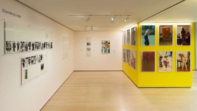 Installation view, Taking Back Our Space: Photographic Perspectives, MoMA · 2026 (6)