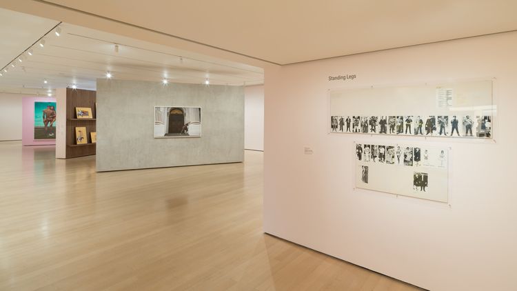 Installation view, Taking Back Our Space: Photographic Perspectives, MoMA · 2026 (7)