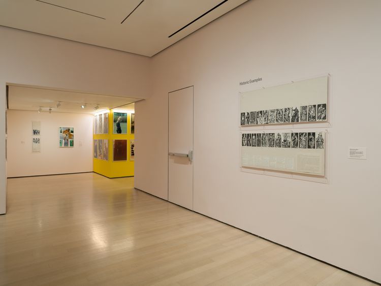 Installation view, Taking Back Our Space: Photographic Perspectives, MoMA · 2026 (8)