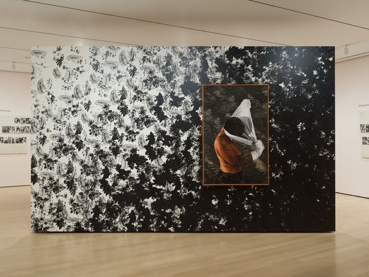 Installation view, Taking Back Our Space: Photographic Perspectives, MoMA · 2026 (14)