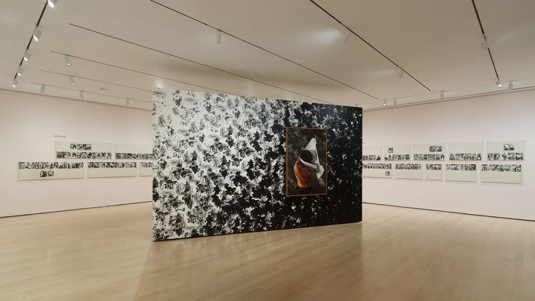 Installation view, Taking Back Our Space: Photographic Perspectives, MoMA · 2026 (16)