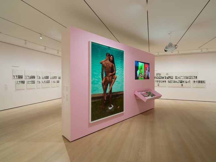 Installation view, Taking Back Our Space: Photographic Perspectives, MoMA · 2026 (31)