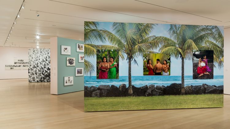 Installation view, Taking Back Our Space: Photographic Perspectives, MoMA · 2026 (33)