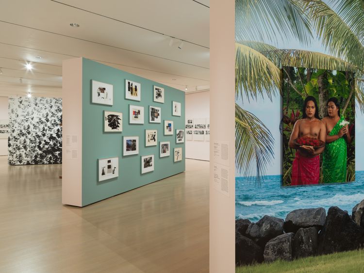 Installation view, Taking Back Our Space: Photographic Perspectives, MoMA · 2026 (34)