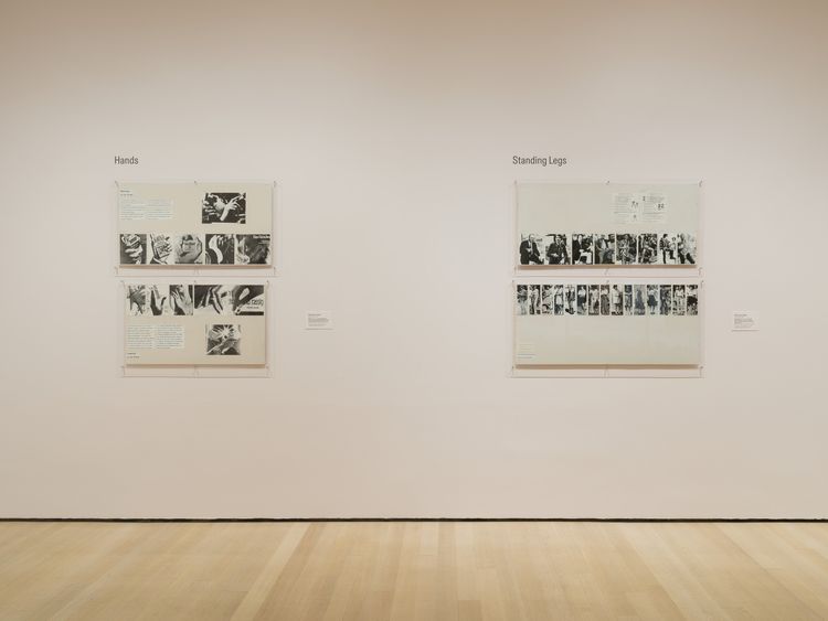 Installation view, Taking Back Our Space: Photographic Perspectives, MoMA · 2026 (36)