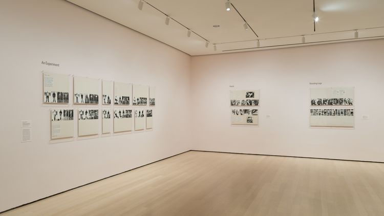 Installation view, Taking Back Our Space: Photographic Perspectives, MoMA · 2026 (38)