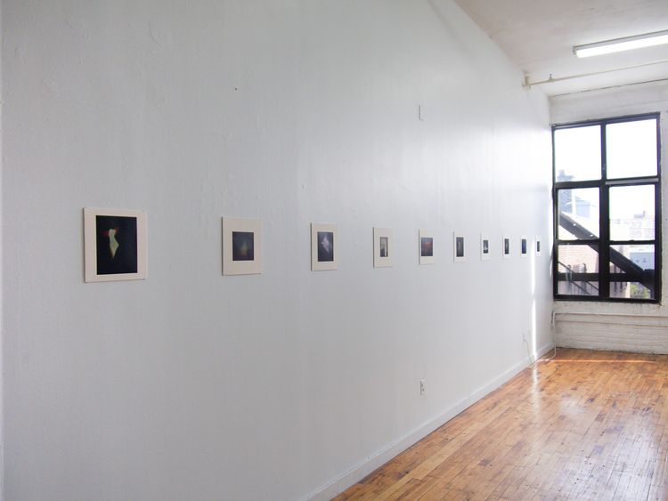 Installation view of Laura Thatcher, "Tennis Player with a Fig Leaf," Drama, New York.