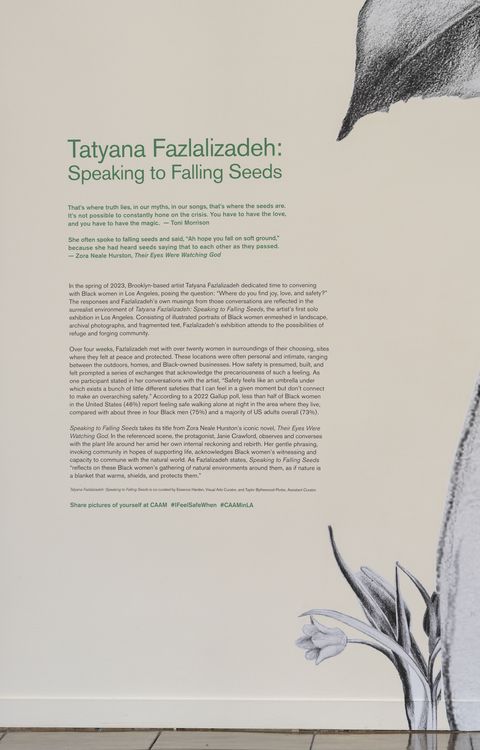 Installation view, Speaking to Falling Seeds, California African American Museum · 2023 (2)