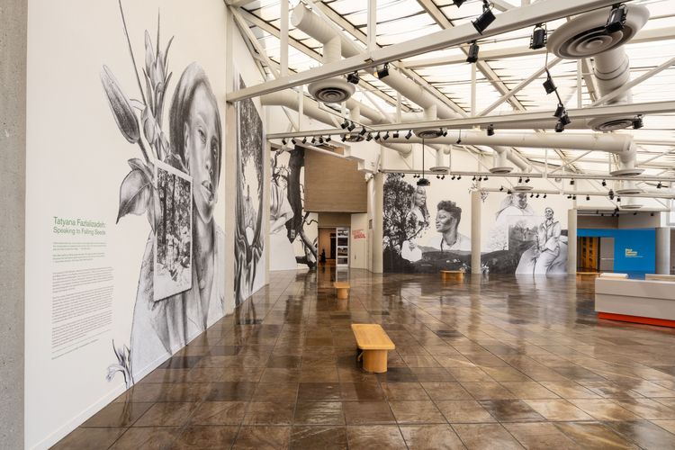 Installation view, Speaking to Falling Seeds, California African American Museum · 2023 (4)