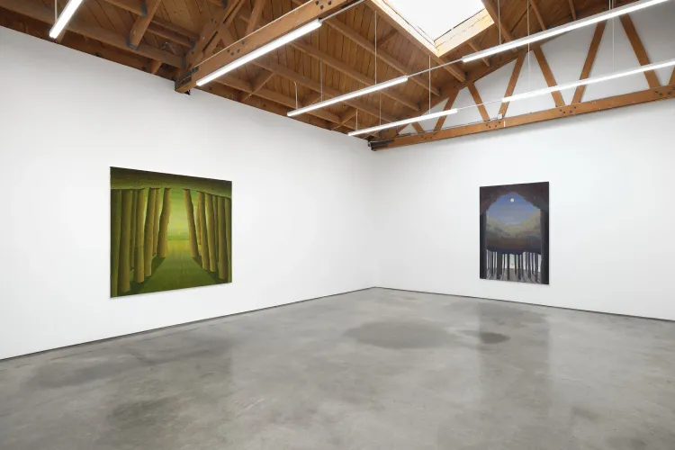 Installation view, The Hour of the Pearl, Megan Mulrooney