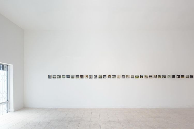 Installation view, Trecasli, One Trick Pony · 2025 (3)