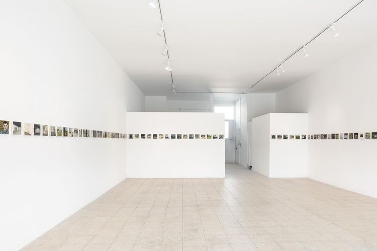 Installation view, Trecasli, One Trick Pony · 2025 (1)