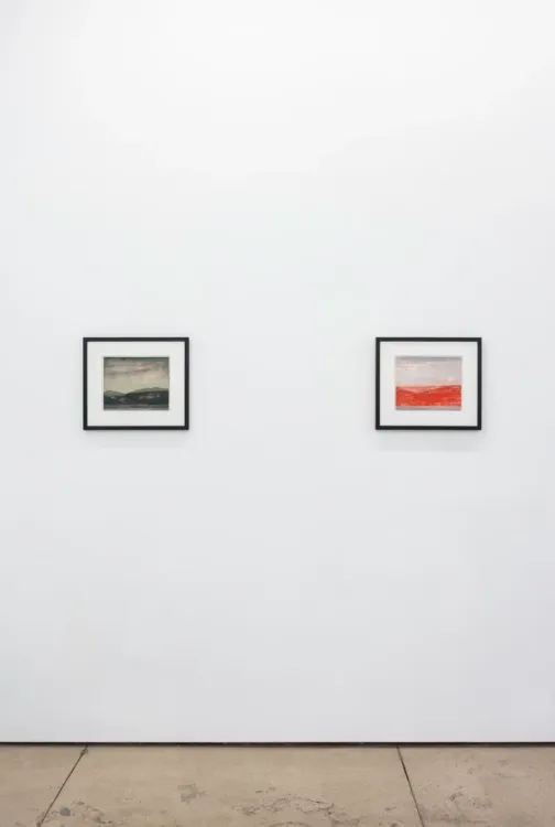 Installation view, Untitled Landscape, Wilding Cran Gallery · 2026 (6)