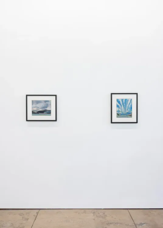 Installation view, Untitled Landscape, Wilding Cran Gallery · 2026 (8)