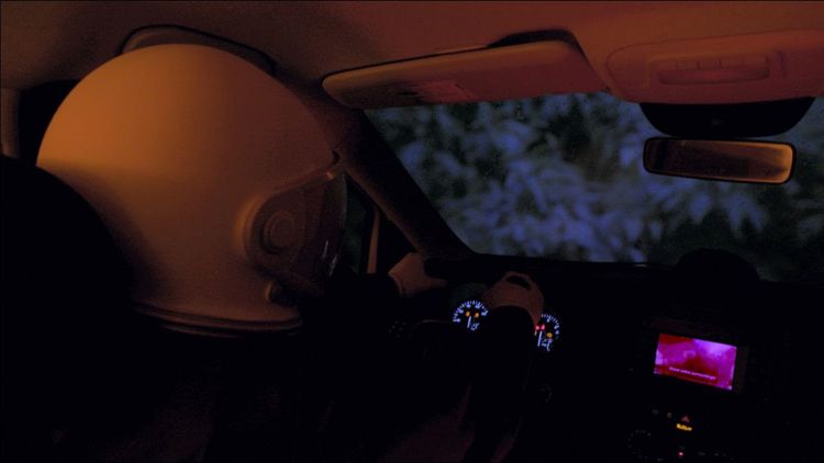 Installation view, Space Film, Gattopardo