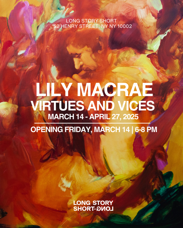 Installation view, Virtues & Vices, Long Story Short, 52 Henry Street