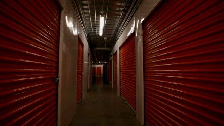 Installation view, Space Film, Gattopardo · 2025 (5)