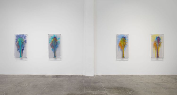 Installation view, Numbers and Trees, Hauser & Wirth