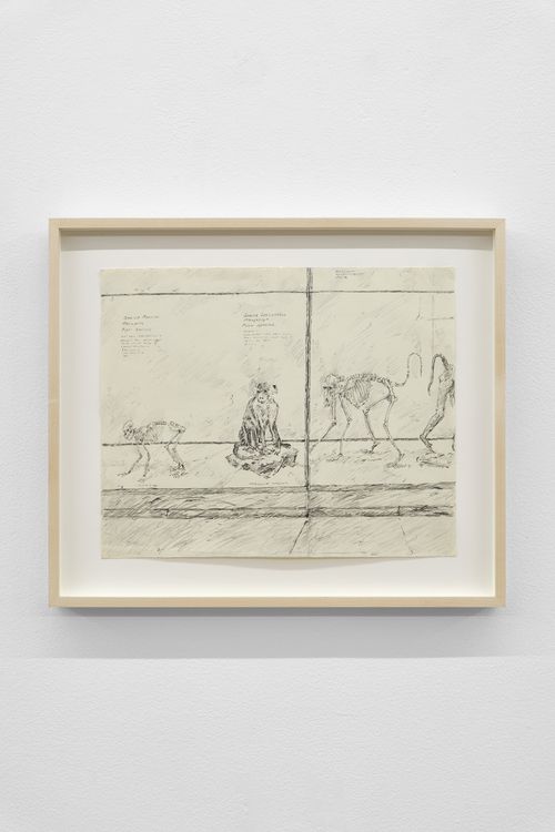 Installation view, Off the Shelf, Nina Johnson · 2026 (7)
