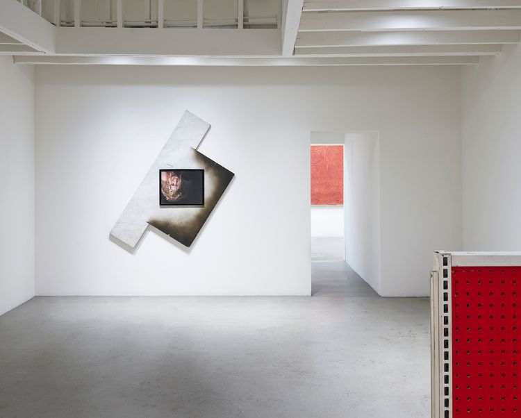 Installation view, Boiled Alive, Michael Benevento · 2026 (3)