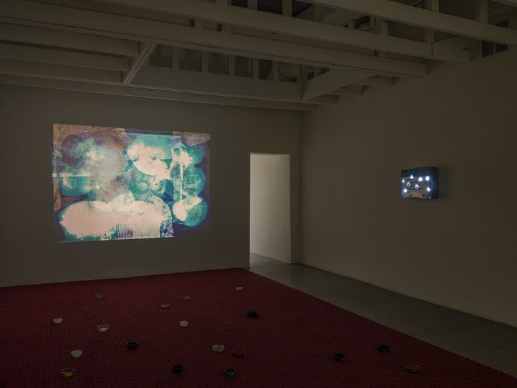 Installation view, Boiled Alive, Michael Benevento · 2026 (8)