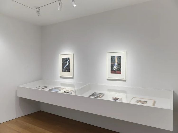 Installation view, My Camera Is My Sketchbook, Schoelkopf Gallery · 2026 (3)