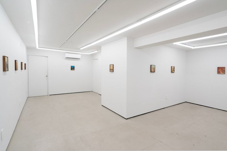 Installation view, Will Yackulic, Gern En Regalia · 2025 (5)