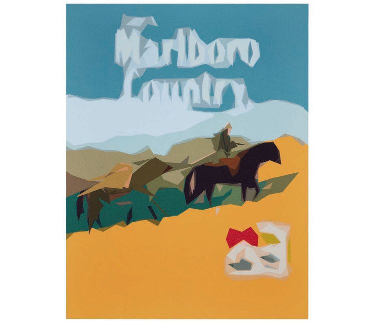 Installation view, Tomohito Ushiro: Welcome to The Country, MAKI Gallery · 2026 (27)