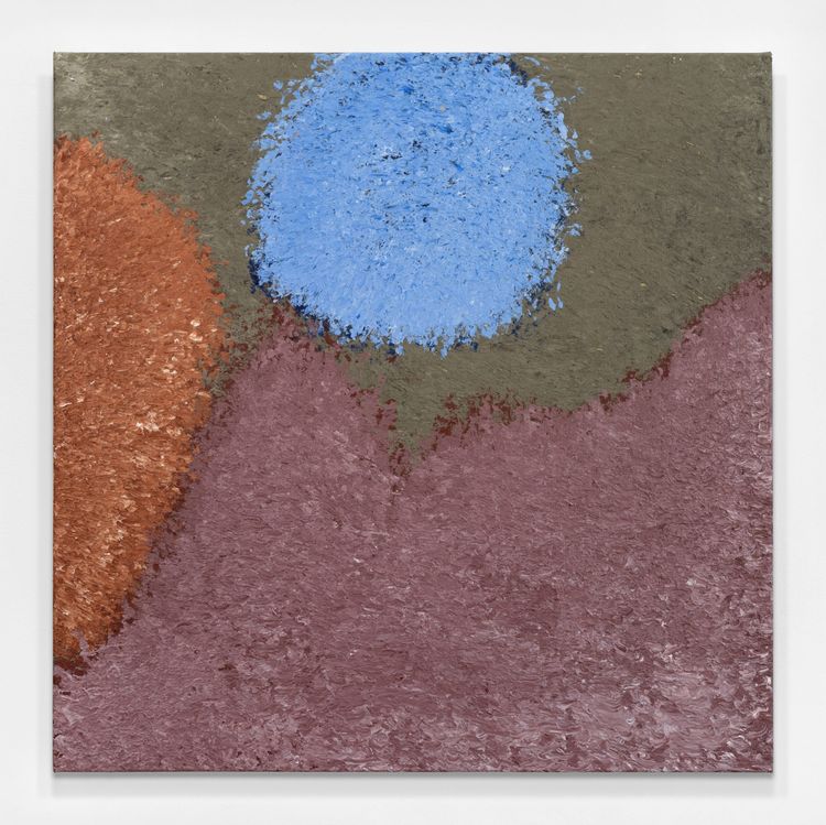 Installation view, Ocular (the principle of pleasure), David Castillo · 2026 (4)