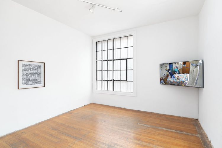 Installation view, Durable Power, Commonwealth and Council