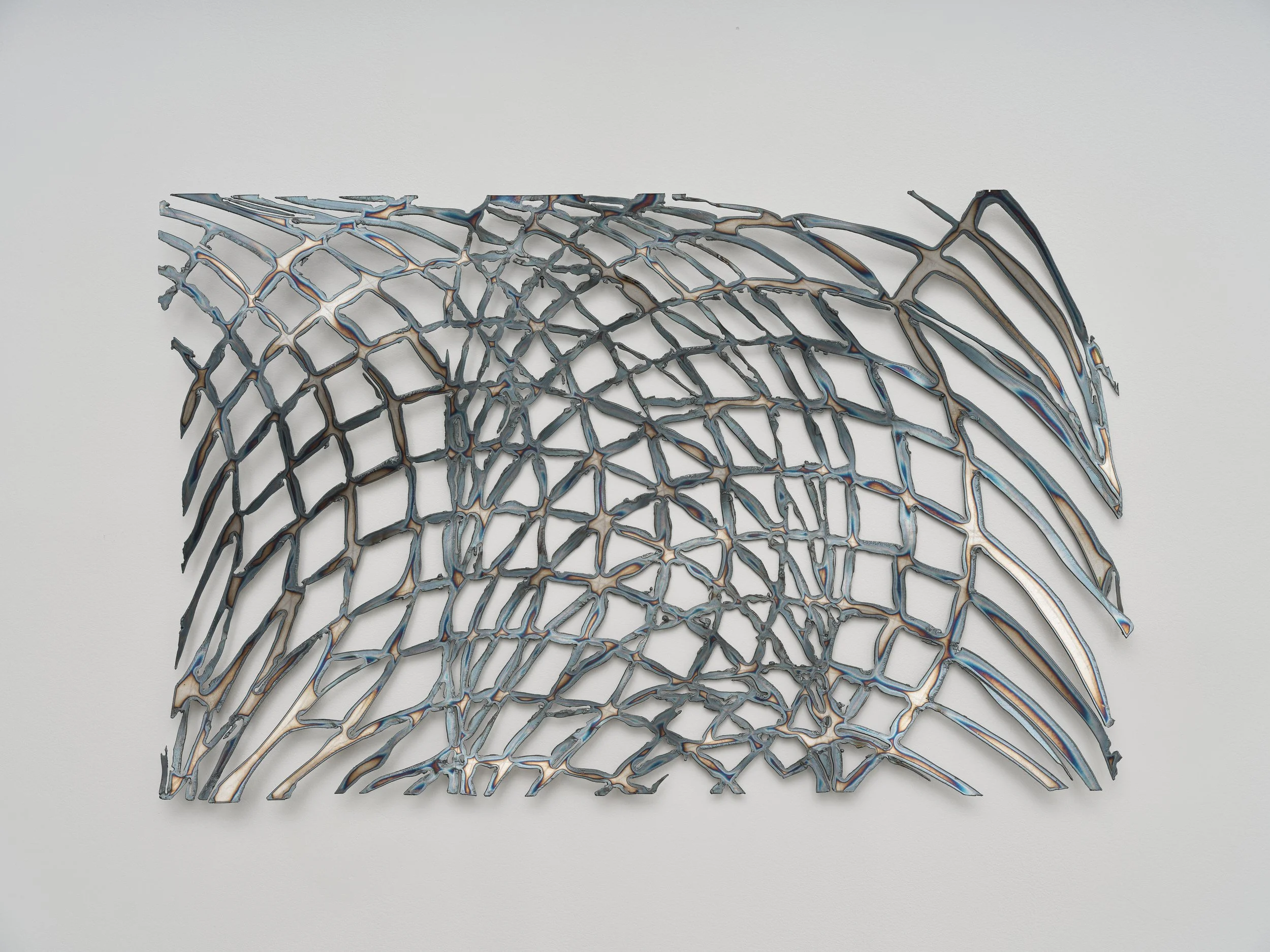 Mira Dayal: Nets
