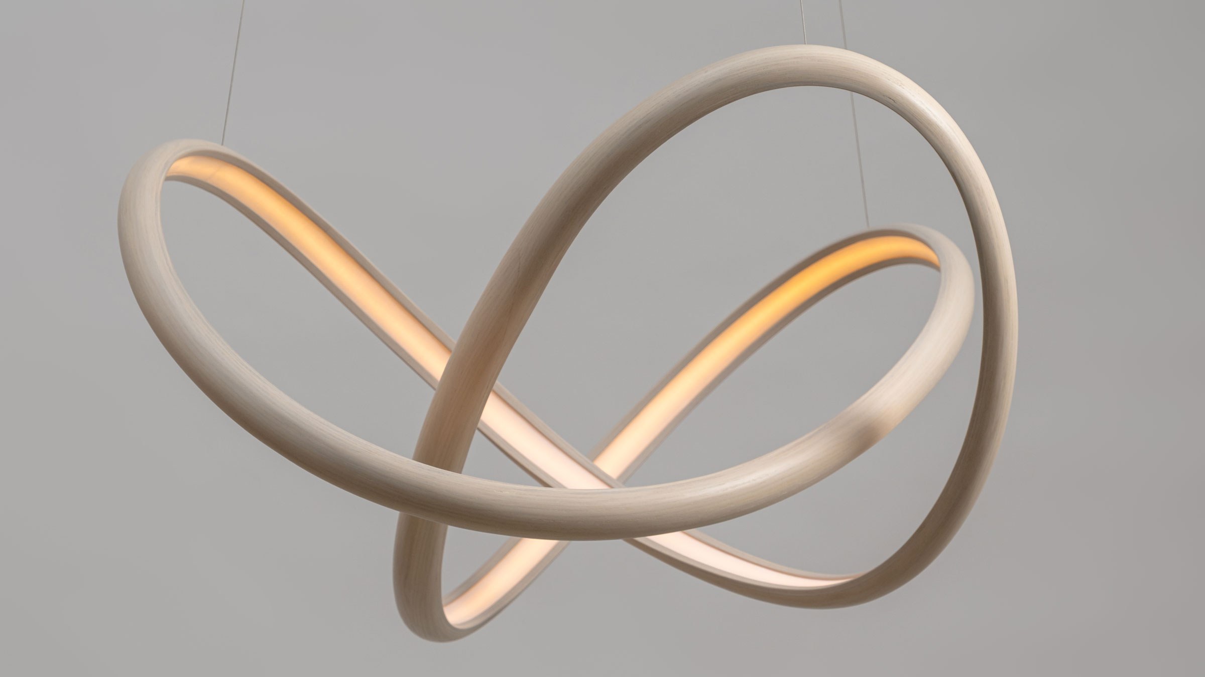 John Procario: Freeforms