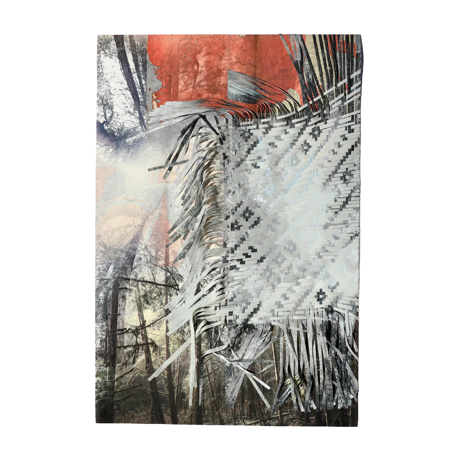 Sarah Sense: Land, Line, Blood, Memory