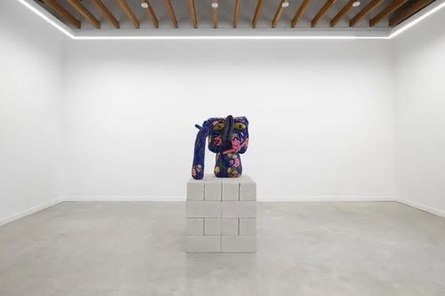 Installation view, I Got a Cut in My Flower Valley, Rajiv Menon Contemporary · 2026 (5)